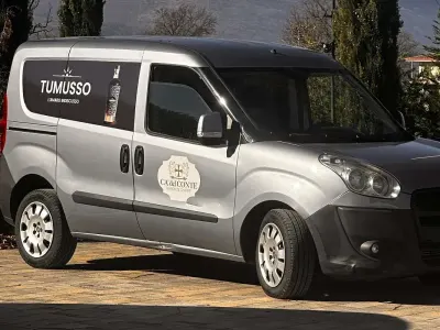 Usata Fiat Doblò Dynamic 135 CV (99 kW) 2011 Argento Monovolume