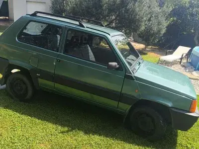 Usata Fiat Panda 4x4 Trekking 54 CV (39 kW) 2001 Utilitaria