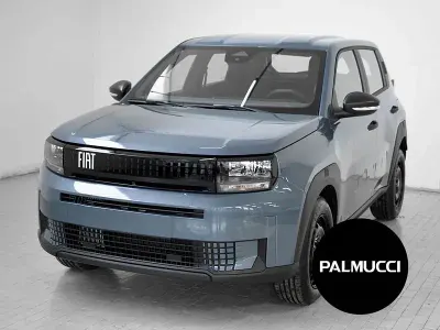 Usata Fiat Grande Panda