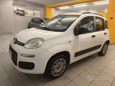 Occasion Fiat Panda 69 PK (50 kW) 2015 Wit Hatchback
