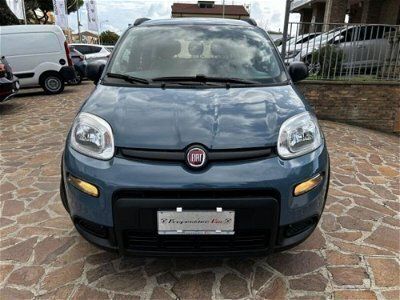 usata Fiat Panda Cross 1.0 FireFly S&S Hybrid City usato