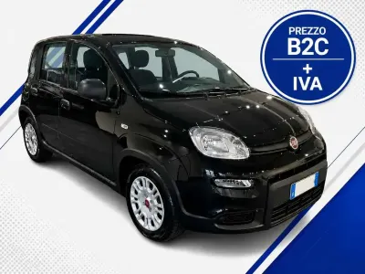 Usata Fiat Panda