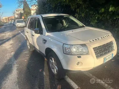 Usata Land Rover Freelander 2 160 CV (117 kW) 2009 Bianco SUV