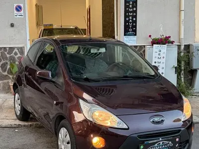 Occasion Ford Ka Business Edition 69 PK (50 kW) 2013 Bruin Hatchback