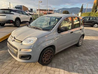 Usata Fiat Panda Easy 69 CV (50 kW) 2018 Grigio Utilitaria