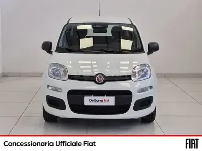 Nuova Fiat Panda Pop 70 CV (51 kW) 2025 Bianco Utilitaria
