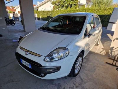 Usata Fiat Punto Evo Emotion 77 CV (56 kW) 2010 Bianco Utilitaria