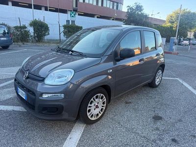 Usata Fiat Panda Easy 70 CV (51 kW) 2021 Grigio Utilitaria