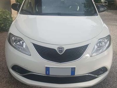 usata Lancia Ypsilon 1.2 69 CV 5 porte Elefantino my 14 usato