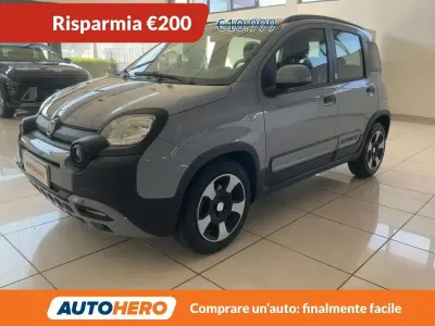 Usata Fiat Panda Launch Edition 70 CV (51 kW) 2020 Grigio Utilitaria
