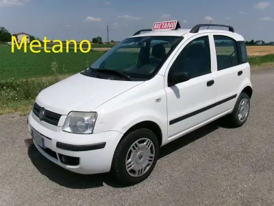 Usata Fiat Panda Dynamic 60 CV (44 kW) 2007 Bianco Utilitaria