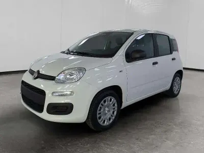 Nuova Fiat Panda Icon 69 CV (50 kW) 2025 Bianco Berlina
