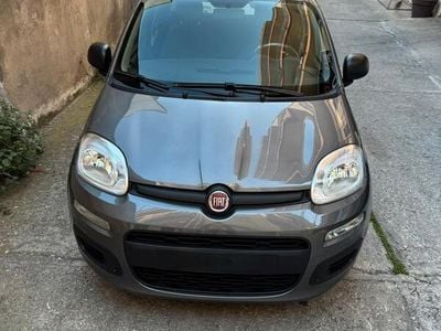 Usata Fiat Panda Easy 69 CV (50 kW) 2020 Grigio Utilitaria