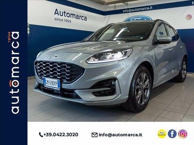 Usata Ford Kuga ST-Line 190 CV (139 kW) 2023 Argento SUV