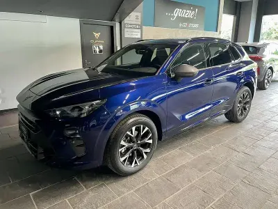 Usata Cupra Terramar