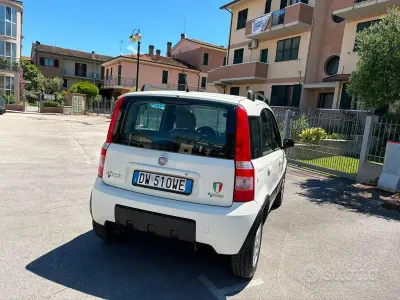 Usata Fiat Panda Climbing 60 CV (44 kW) 2009 Bianco Utilitaria