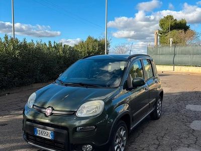 Usata Fiat Panda 4x4 75 CV (55 kW) 2013 Verde Utilitaria