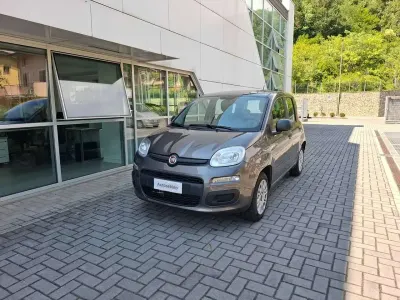 Usata Fiat Panda Easy 69 CV (50 kW) 2019 Argento Utilitaria