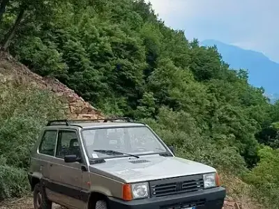 Usata Fiat Panda 4x4