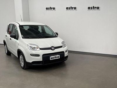 Nuova Fiat Panda 2025 Bianco Utilitaria