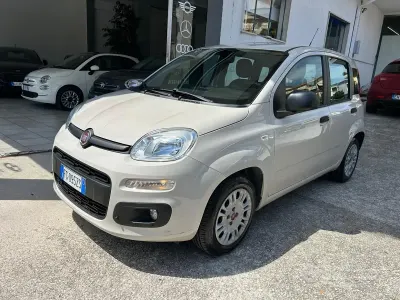 Usata Fiat Panda 69 CV (50 kW) 2017 Beige Utilitaria