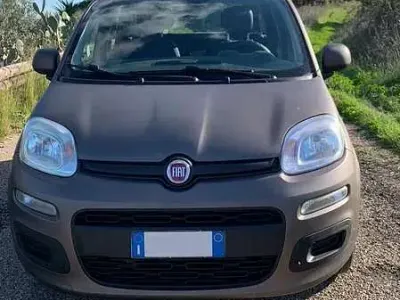 Usata Fiat Panda Lounge 69 CV (50 kW) 2017 Bronzo Utilitaria