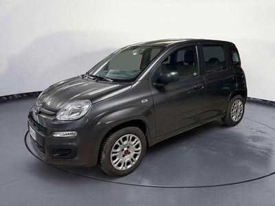 Usata Fiat Panda Easy 69 CV (50 kW) 2019 Grigio Utilitaria
