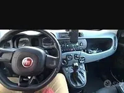 Usata Fiat Panda 69 CV (50 kW) 2018 Grigio Utilitaria