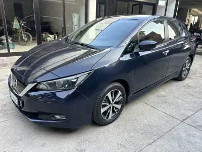 Usata Nissan Leaf