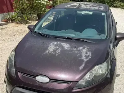 Usata Ford Fiesta 68 CV (50 kW) 2010 Viola Berlina