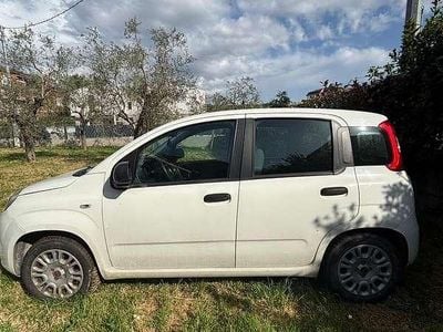 Usata Fiat Panda Easy 69 CV (50 kW) 2019 Utilitaria