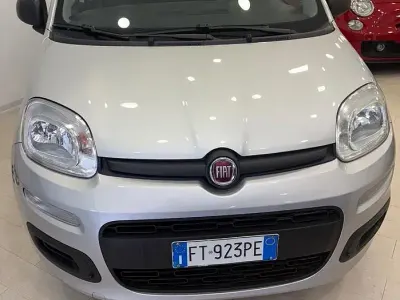 Usata Fiat Panda Easy 69 CV (50 kW) 2018 Grigio Utilitaria
