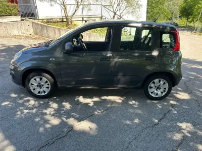 Usata Fiat Panda Easy 69 CV (50 kW) 2017 Grigio Utilitaria