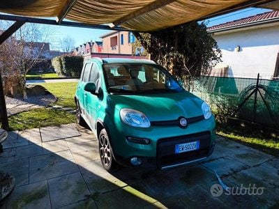 Usata Fiat Panda 4x4 S 75 CV (55 kW) 2012 Verde Utilitaria