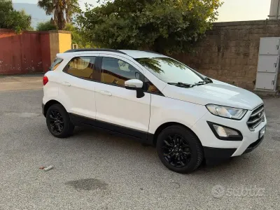 Second-hand Ford Ecosport 99 CP (72 kW) 2019 Alb SUV