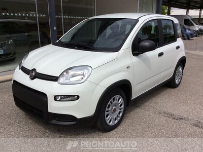 usata Fiat Panda 1.0 firefly hybrid s&s 70cv