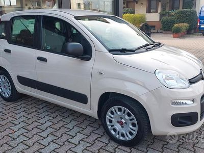Usata Fiat Panda Easy 2017 Utilitaria