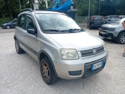 Usata Fiat Panda 4x4 75 CV (55 kW) 2006 Argento Utilitaria