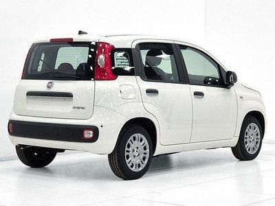 Nuova Fiat Panda Icon 70 CV (51 kW) 2025 Bianco Berlina