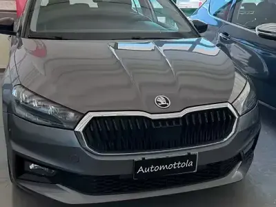 Usata Skoda 110 R