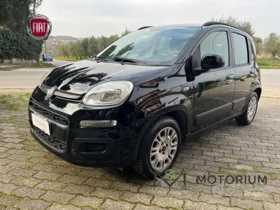 Usata Fiat Panda Lounge 69 CV (50 kW) 2014 Nero Utilitaria