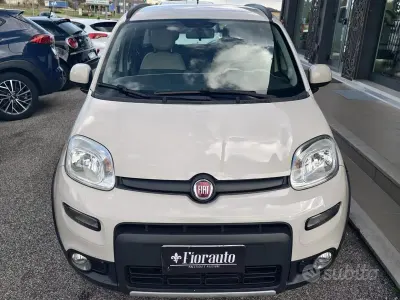 Usata Fiat Panda 4x4 Trekking 84 CV (61 kW) 2016 Beige Utilitaria