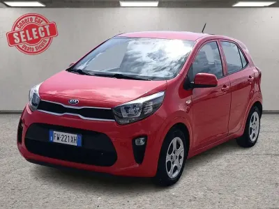 Occasion Kia Picanto