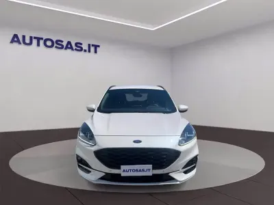 Usata Ford Kuga ST-Line 190 CV (139 kW) 2023 Bianco SUV