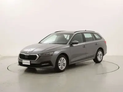 Usata Skoda Octavia