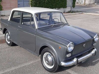usata Fiat 1100D 103 G1 BERLINA