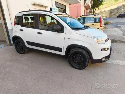 Usata Fiat Panda 4x4 S 95 CV (69 kW) 2017 Bianco Utilitaria