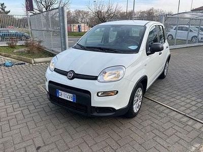 Usata Fiat Panda S 69 CV (50 kW) 2023 Bianco Utilitaria