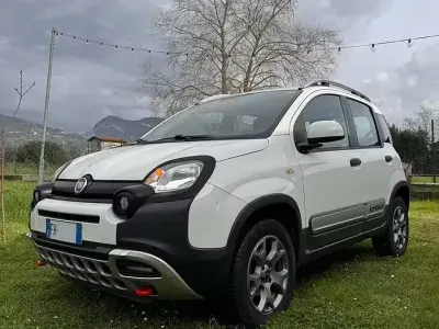 Usata Fiat Panda Cross Cross 95 CV (69 kW) 2017 Bianco Utilitaria
