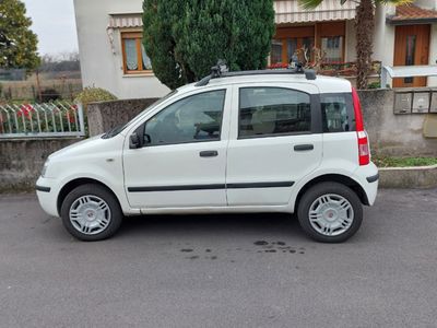 usata Fiat Panda Panda 1.2 Dynamic Natural Power